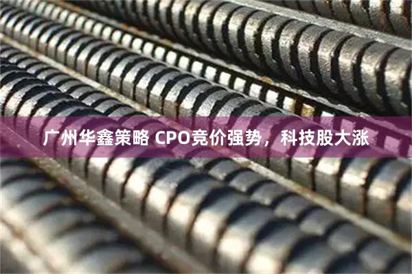 广州华鑫策略 CPO竞价强势，科技股大涨